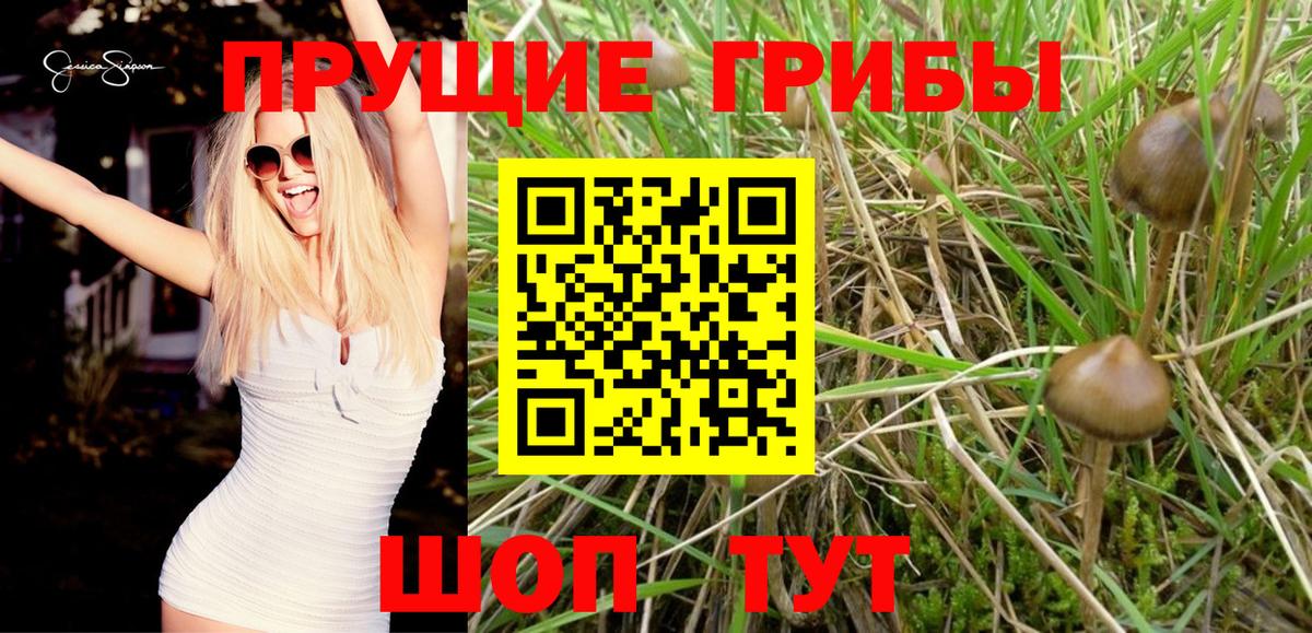 Псилоцибиновые грибы мухоморы Ахтубинск