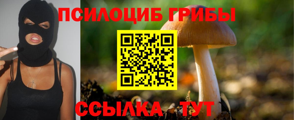 Галлюциногенные грибы прущие грибы  Вход с VPN  Ахтубинск 
